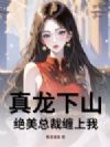 真龙下山,绝美总裁缠上我!